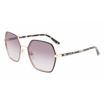CK21131S 001