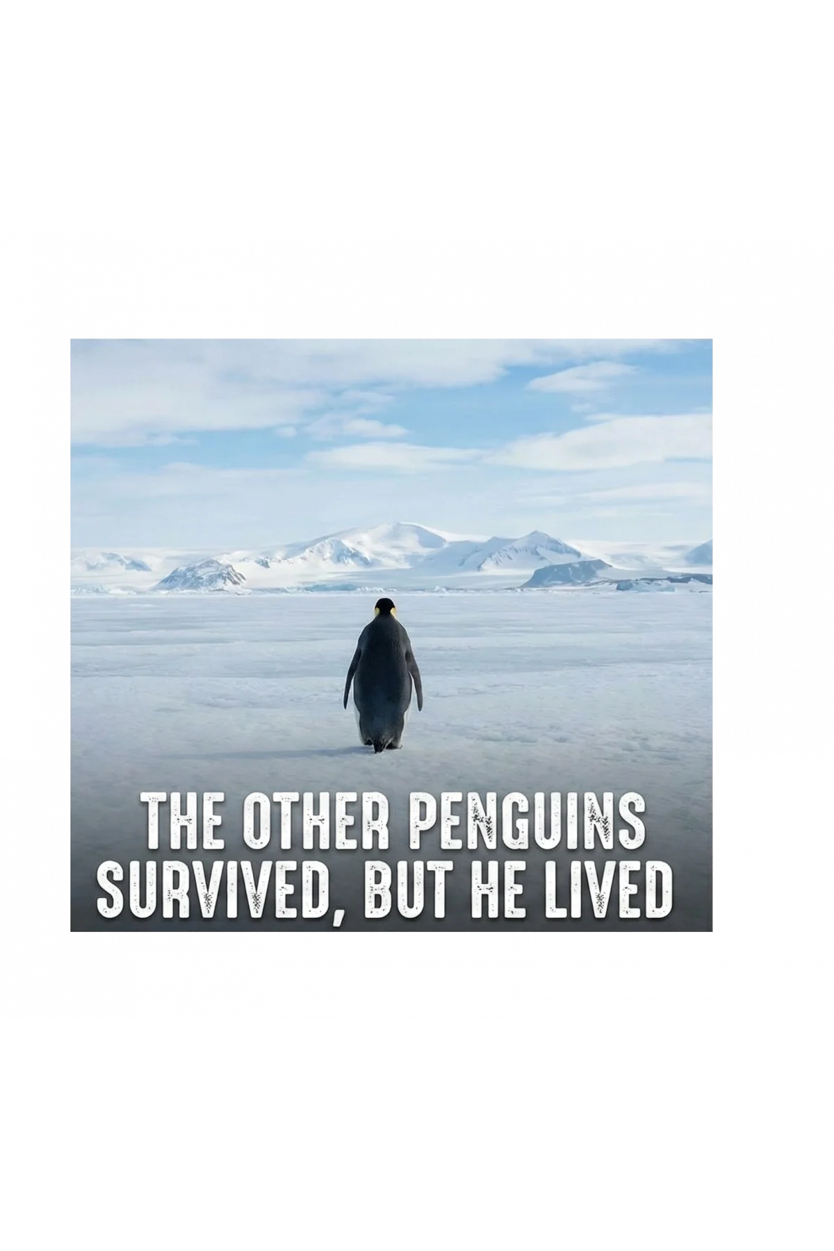 Kadın Oversize Tişört - Sırt Baskılı Survivor Penguin Temalı Felsefi Yazılı - Beyaz