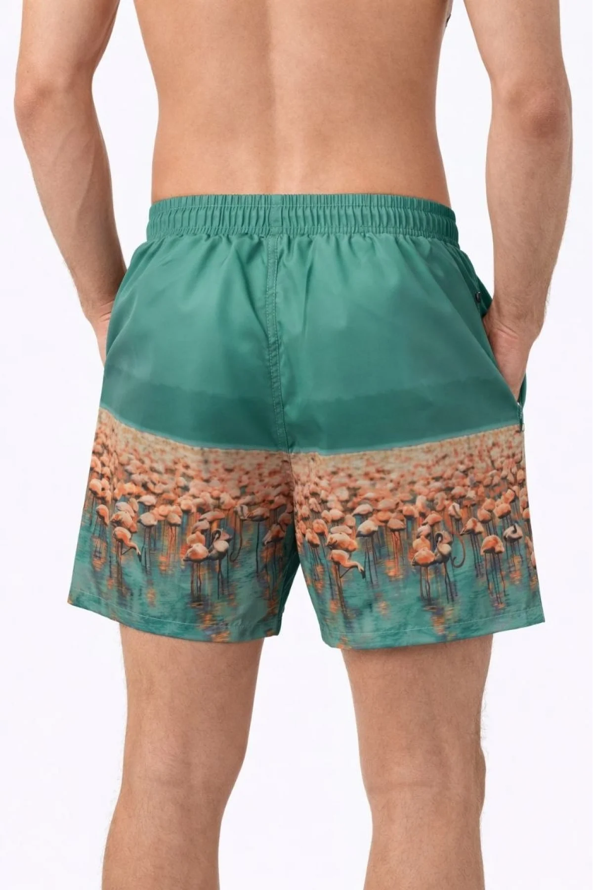 Erkek Deniz Şortu Fermuarlı Cepli File Astarlı Hızlı Kuruyan Premium - Su Yeşili