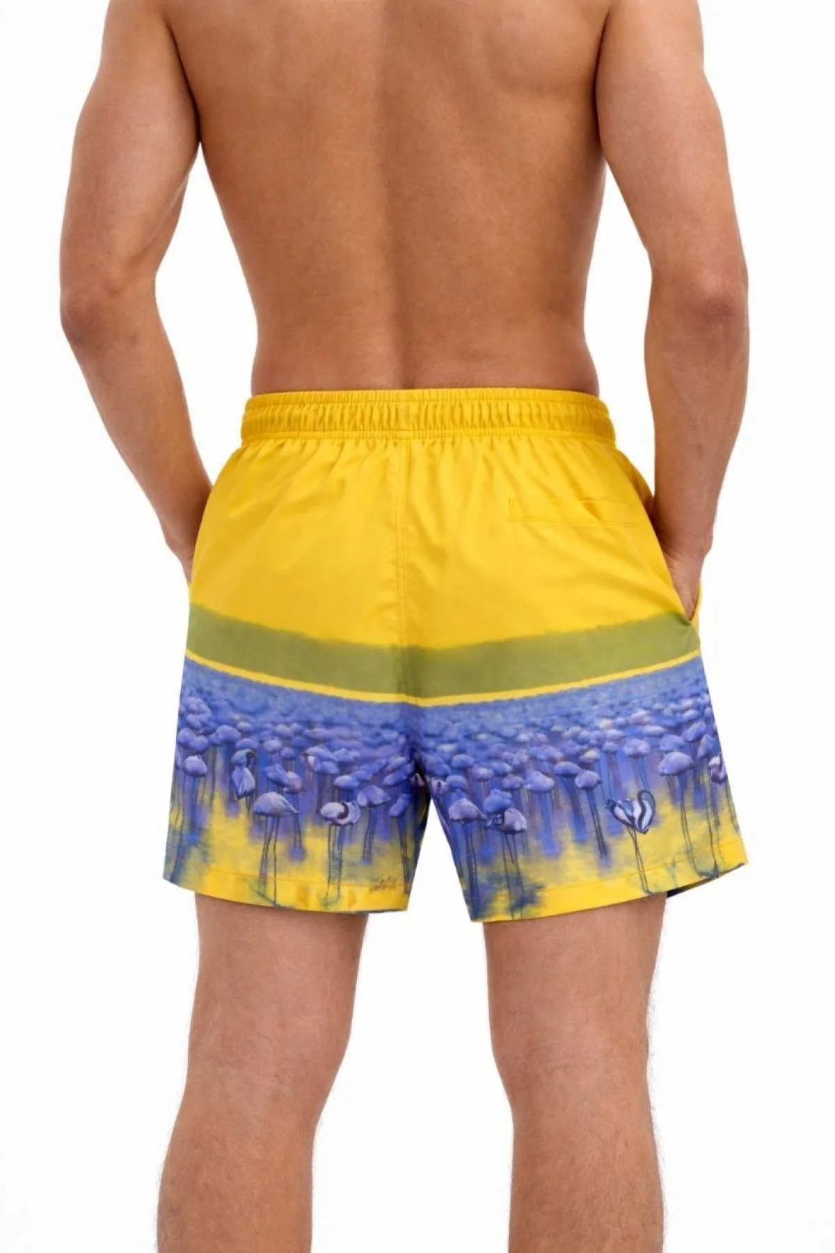 Erkek Deniz Şortu Fermuarlı Cepli File Astarlı Hızlı Kuruyan Premium - Sarı