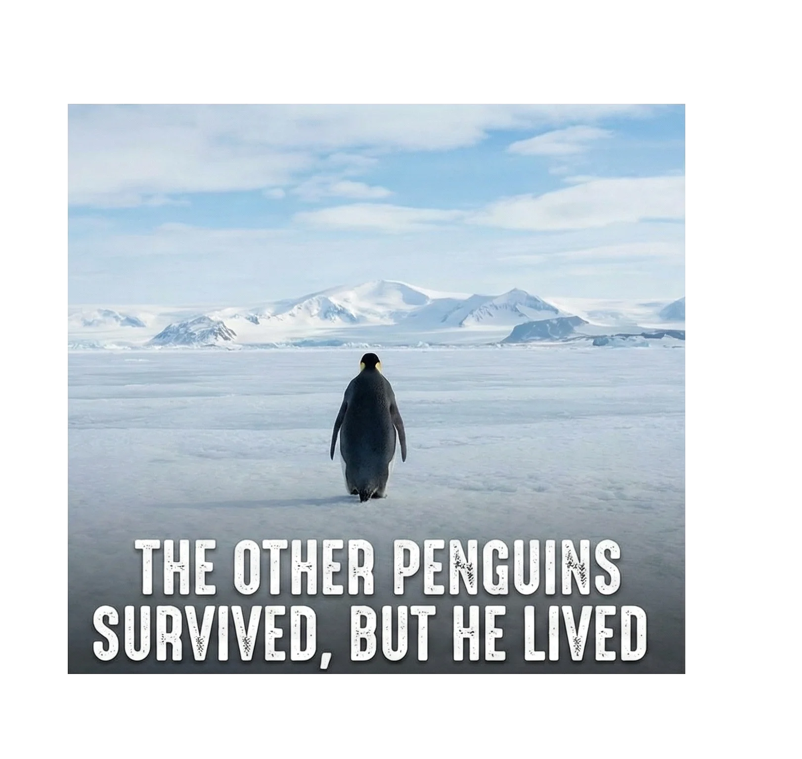 Kadın Oversize Hoodie - Sırt Baskılı "Survivor Penguin" Temalı, Felsefi Yazılı Kapüşonlu Sweatshirt - Siyah Görsel 4