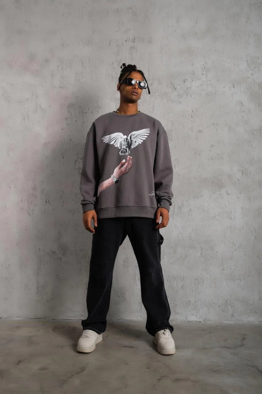 Erkek Güvercin Baskılı Sweatshirt - Gri