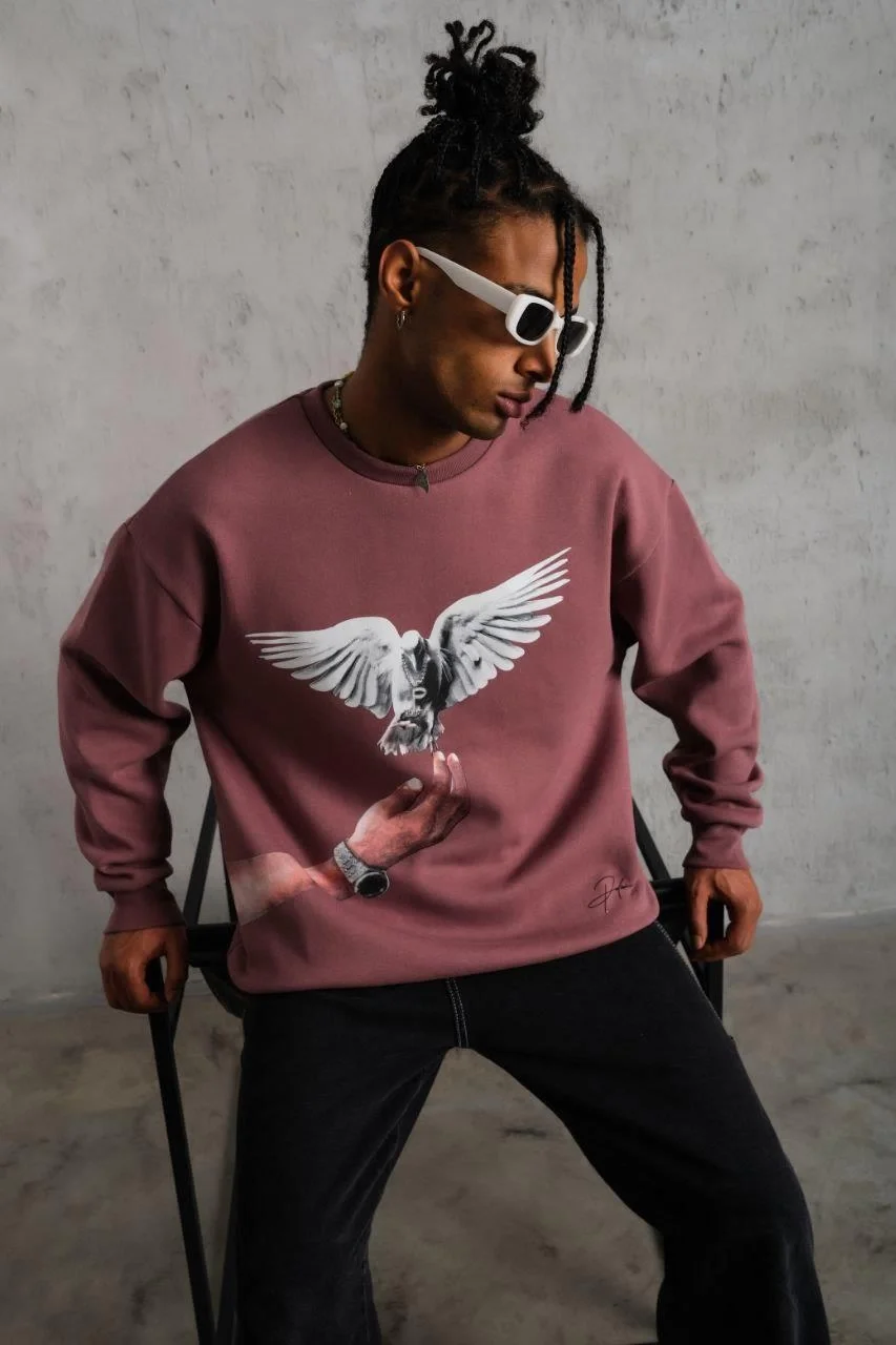 Erkek Güvercin Baskılı Sweatshirt - Gül Kurusu Görsel 2