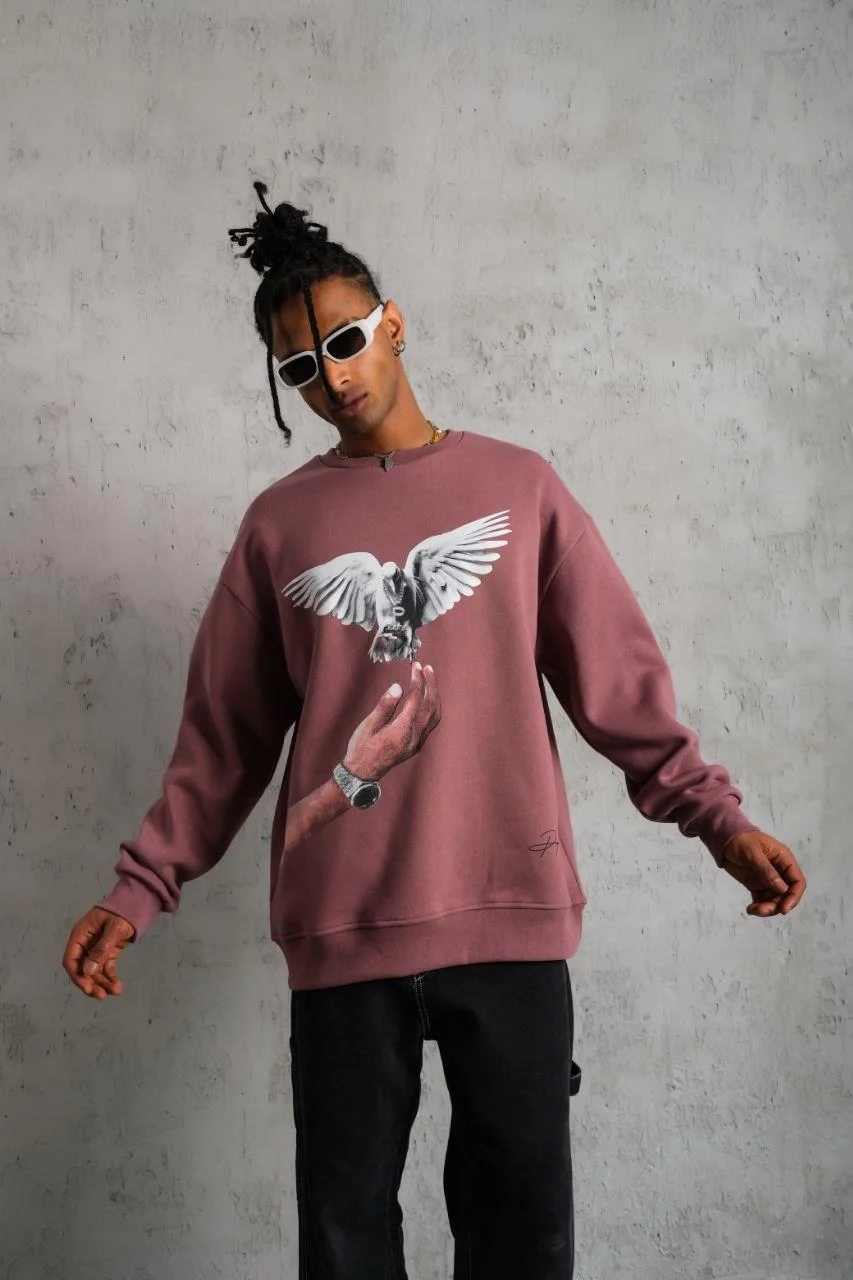 Erkek Güvercin Baskılı Sweatshirt - Gül Kurusu Görsel 4