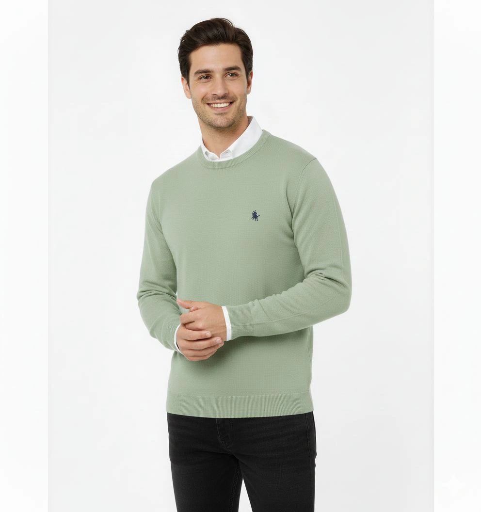 Erkek Bisiklet Yaka Nakış işlemeli Triko Kazak yumuşak dokulu Pamuklu ince Dokuma, uzun kollu Rahat Regular kalıp - Mint Yeşili