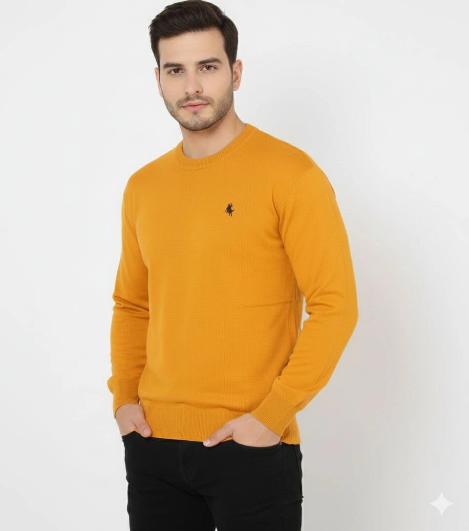 Erkek Bisiklet Yaka Nakış işlemeli Triko Kazak yumuşak dokulu Pamuklu ince Dokuma, uzun kollu Rahat Regular kalıp - Turuncu