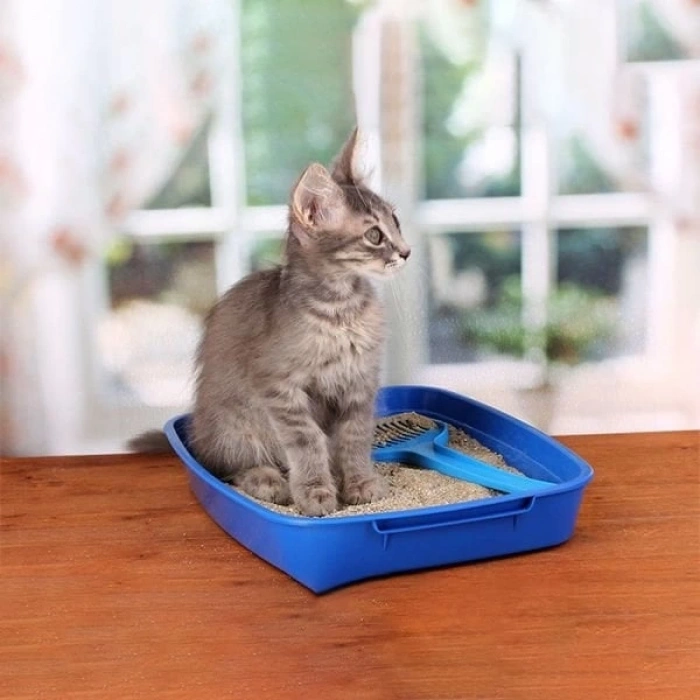 Biokats Micro Bianco Classic Kokusuz Topaklanan Doğal Kedi Kumu 1 Adet 6 Lt