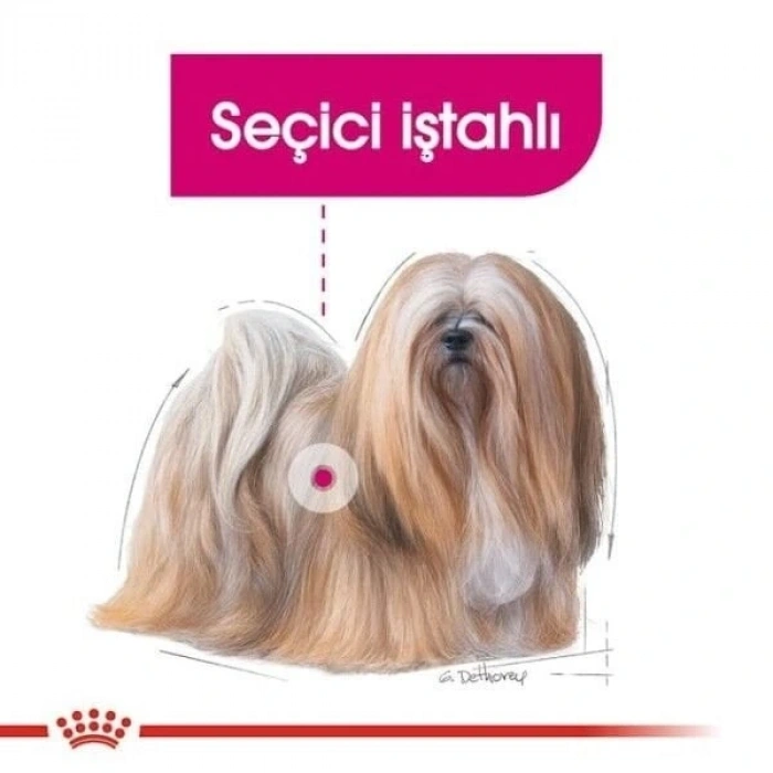 Royal Canin Mini Exigent Adult Yetişkin Köpek Maması 3 Kg