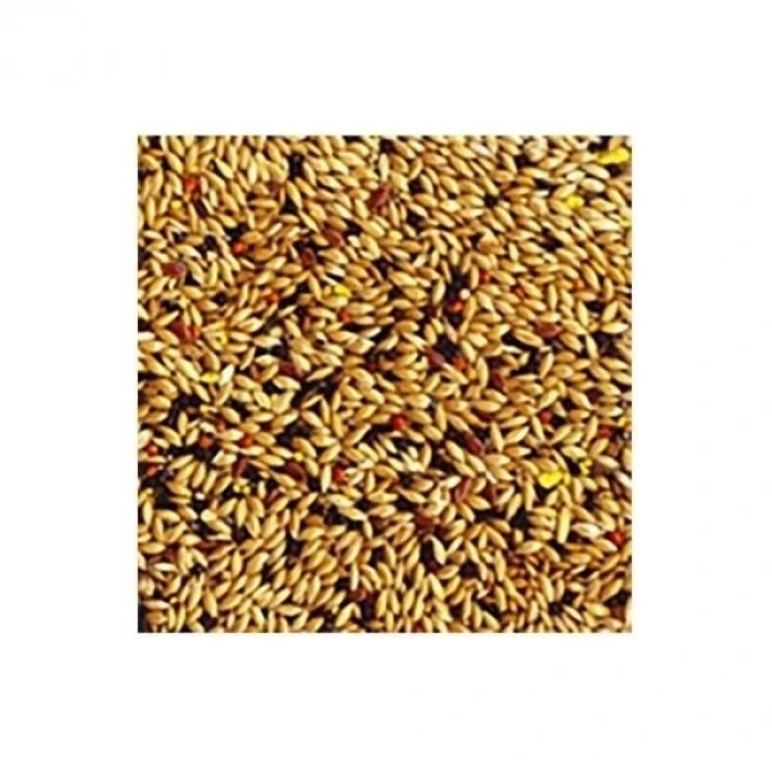 Tropifit Canary Kanarya Kuş Yemi 700 Gr