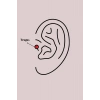 316L Çelik Gümüş Renk Mor Mineli Kalp Zirkon Taş Detay Tragus Piercing