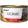 Bestpet Gurme Jöleli Biftekli Yetişkin Konserve Kedi Maması 1 Adet 100 Gr