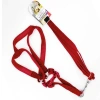 Euro Dog Köpek Uzatma Tasması Ve Göğüs Tasması Takımı Kırmızı 15 Mm 120 Cm