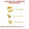 Royal Canin Yorkshire Terrier Pouch Konserve Köpek Maması 1 Adet 85 Gr