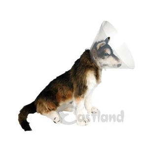 Eastland Köpek Kedi Ve Köpek Elizabeth Yakalığı 20 Cm