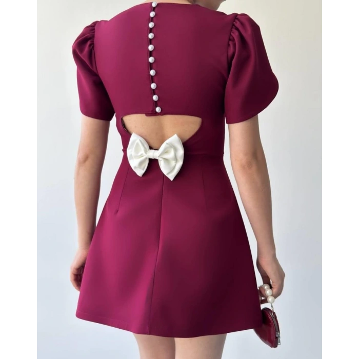 Alka İncili Fiyonk Detay Elbise