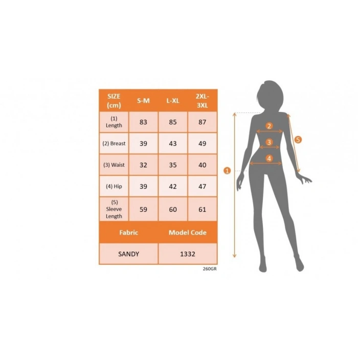 Kadın Uzun Kollu Kruvaze Yaka Sandy Mini Elbise