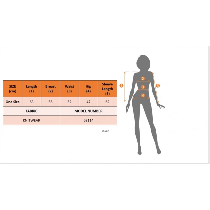 Kadın Uzun Kollu V Yakalı Kısa Triko Elbise