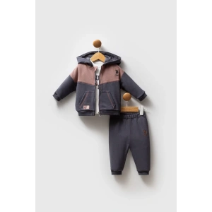 U.s. Polo Assn 3lü Takım Usb2561 Füme