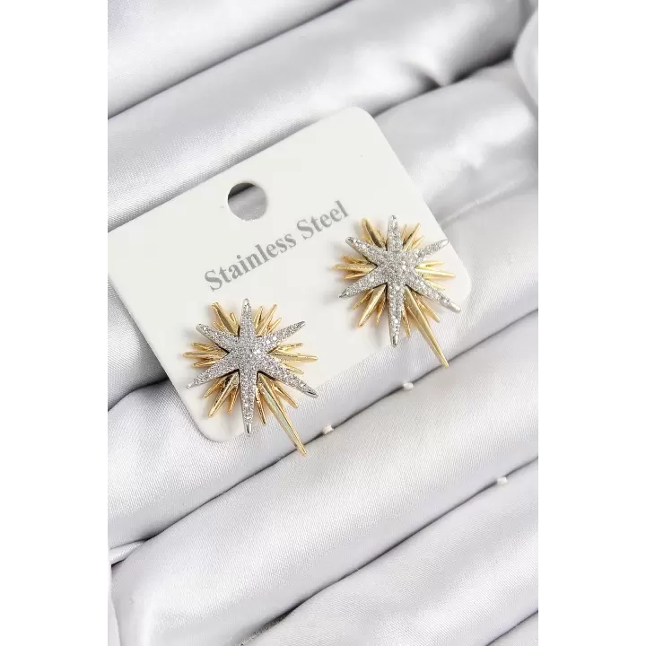 316L Çelik Zirkon Taşlı Kutup Yıldızı Model Gold Ve Gümüş Renk Kadın Küpe