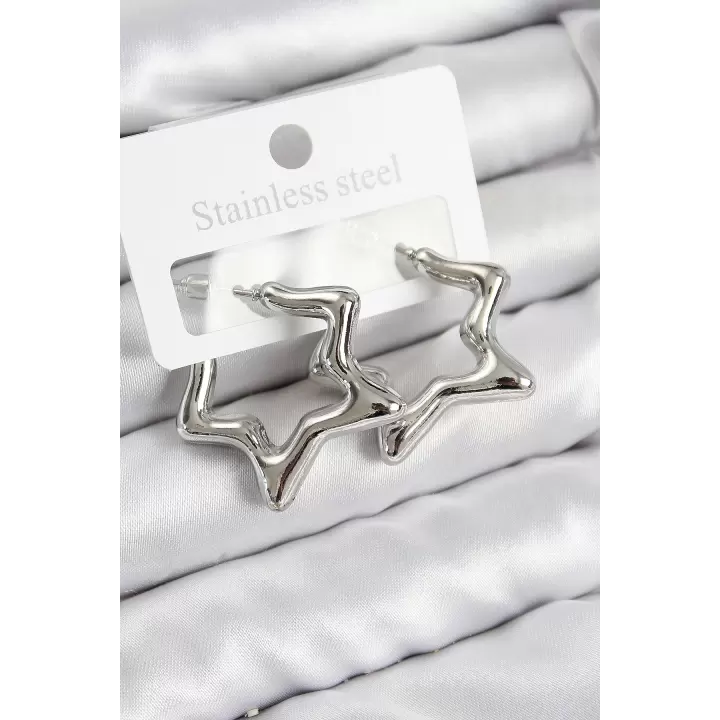 Pirinç Yıldız Model Gümüş Renk Kadın Küpe