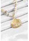 316L Çelik Gold Renk Deniz Kabuğu Modelli Kadın Kolye