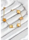 316L Çelik Gold Zincir Sarı Yonca Bileklik