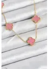 316L Çelik Zincir Gold Pembe Renk Yonca Kadın Kolye