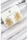 316L Çelik Zirkon Taşlı Aurora Işıltı Model Gold Renk Kadın Küpe
