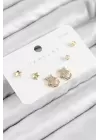 Pirinç Zirkon Taşlı Yıldız Model Gold Renk 925 Ayar Gümüş Çivi Kadın Küpe Set