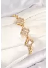 Pirinç Zirkon Taşlı Yonca Model Gold Renk Kadın Bileklik