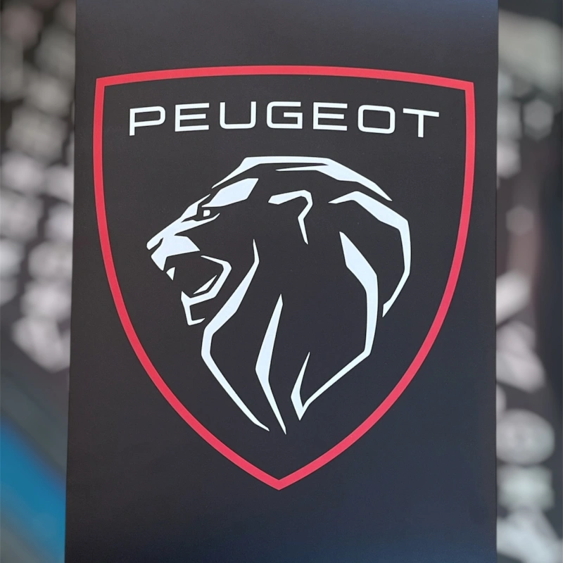 Peugeot Kağıt Paspas (50*35)