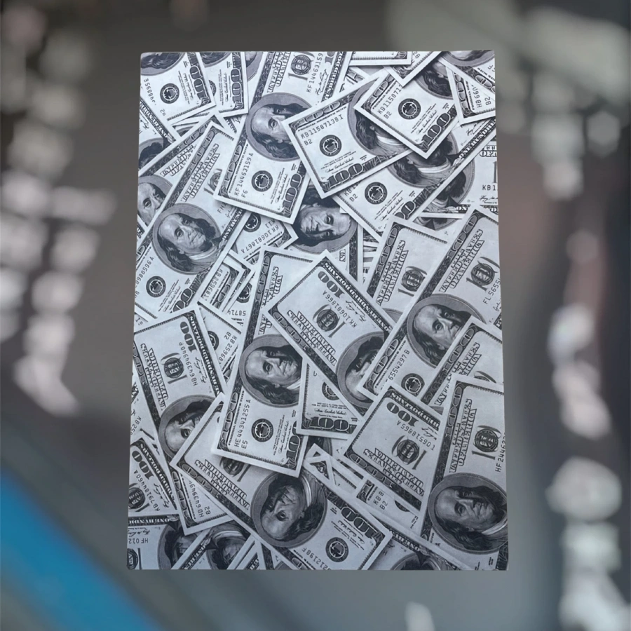 Dolar Kağıt Paspas (50*35)