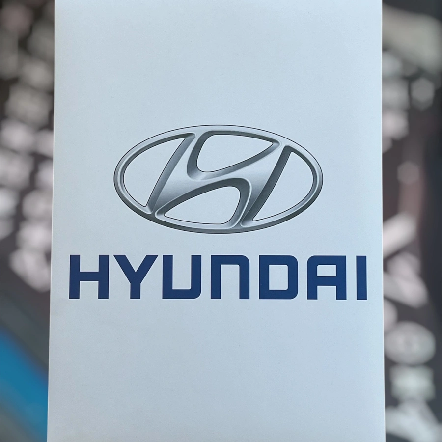 Hyundaı Kağıt Paspas