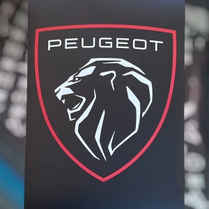 Peugeot Kağıt Paspas (50*35)