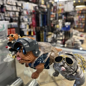 Pitbull Köpek Beyaz