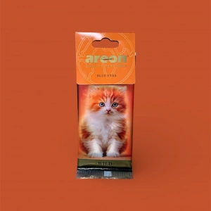 Areon Kedi Blue Eyes