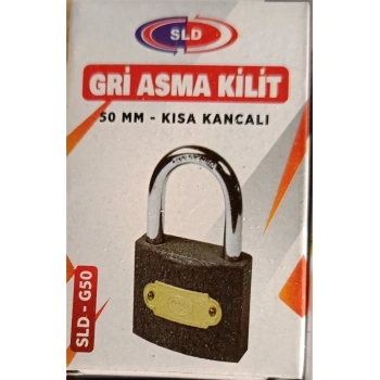 50mm Gri Asma Kilit