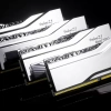 GSKILL TZ5 Royal Neo Silver RGB DDR5-8000Mhz CL38 32GB (2X16GB) DUAL (38-48-48-128) 1.40V AMD EXPO