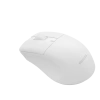 PHILIPS 2.4 GHZ + BLUETOOTH MOUSE SPK7528W BEYAZ