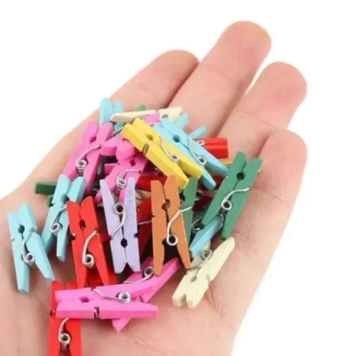 Dodes 100lü Renkli Ahşap Mandal Seti (2.5 cm)