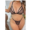 Dodes Tegan Büyük Beden Fantezi Seksi File Sütyen Tanga Takımı TG275442
