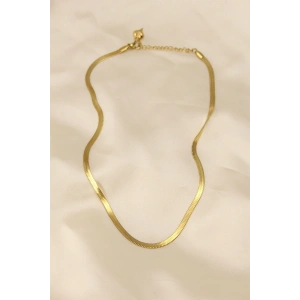 Dodes Dodes 316L Çelik Altın Renk 45 cm İtalyan Zincir Model Kadın Kolye TG27BKO5902
