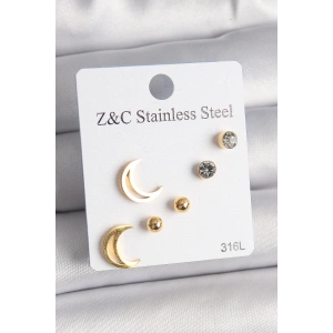 Dodes Dodes 316L Çelik Gold Renk Zirkon Taşlı Hilal Model Kadın Küpe Seti TG27BKP10009