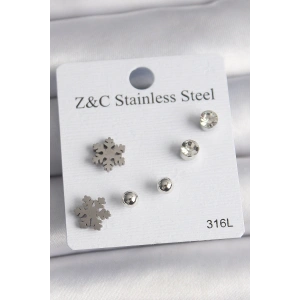 Dodes Dodes 316L Çelik Gümüş Renk Zirkon Taşlı Kar Tanesi Model Kadın Küpe Seti TG27BKP10014