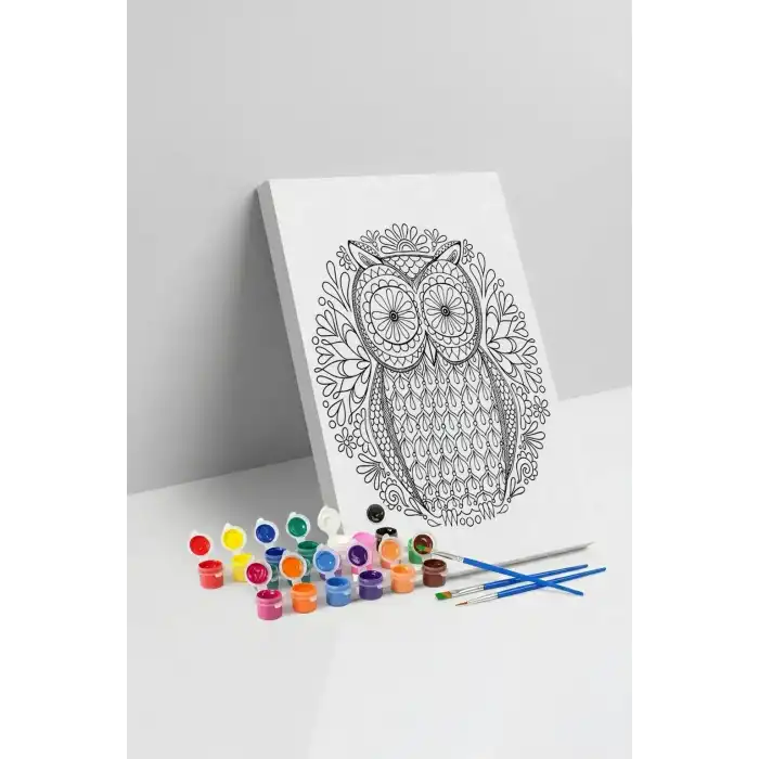 Baykuş Desenli Mandala Tuval Boyama Seti 40x50 cm