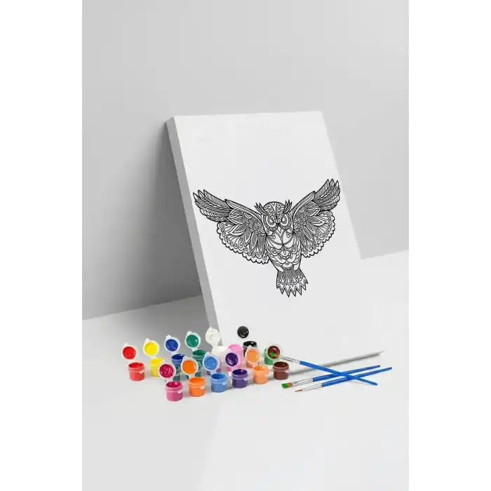 Baykuş Desenli Mandala Tuval Boyama Seti 40x50 cm