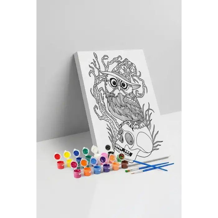 Baykuş Desenli Mandala Tuval Boyama Seti 40x50 cm