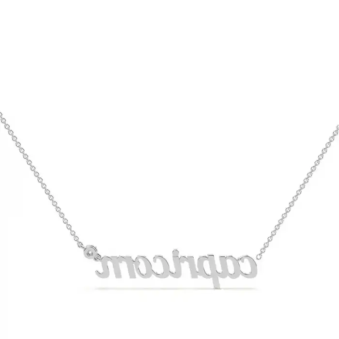 Capricorn Solitaire Necklace