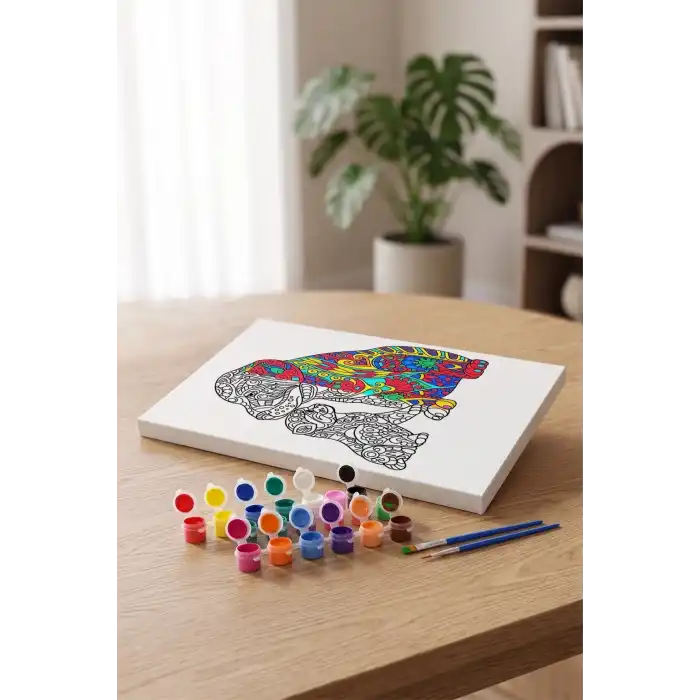 Goril Desenli Mandala Tuval Boyama Seti 40x50 cm