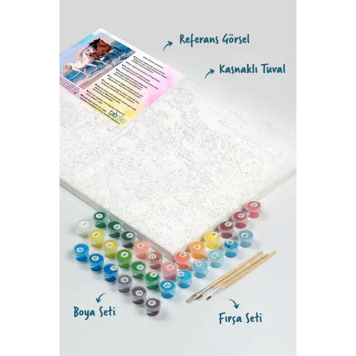 Sayılarla Boyama Seti 40 x 50 cm Tuval Şasesine Gerili Atlar